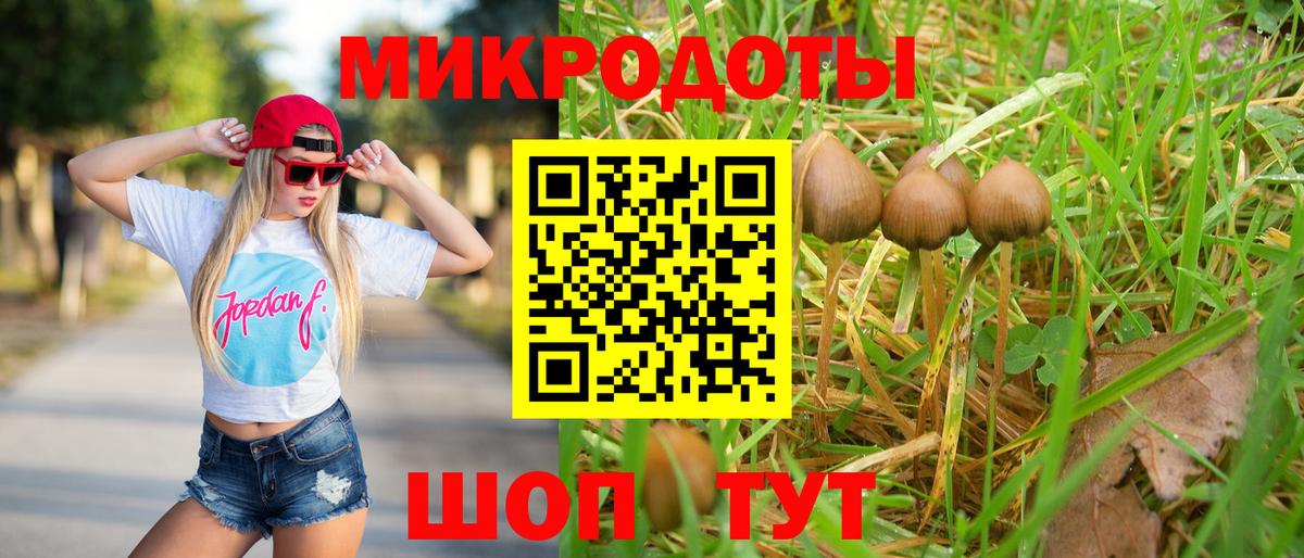 Псилоцибиновые грибы мицелий Тихвин